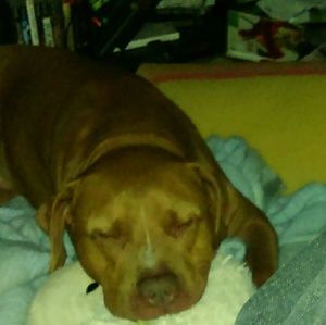 Meet your Posher, Mike